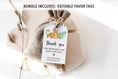 Load image into Gallery viewer, Complete Dinosaur Baby Shower Bundle