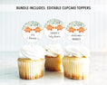 Load image into Gallery viewer, Complete Twin Triceratops Baby Shower Bundle