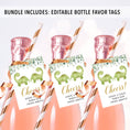Load image into Gallery viewer, Complete Twin Dinosaurs Baby Shower Bundle