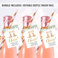 Load image into Gallery viewer, Complete Twin Giraffes Baby Shower Bundle