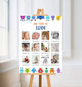 Load image into Gallery viewer, Monsters First Year Poster