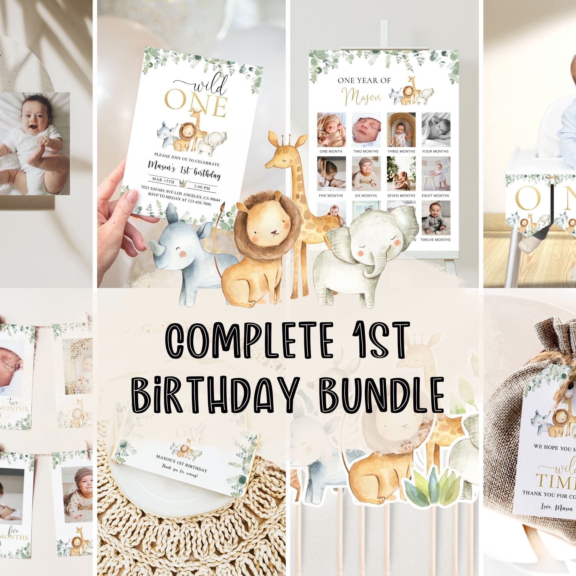 Wild One 1st Birthday Bundle