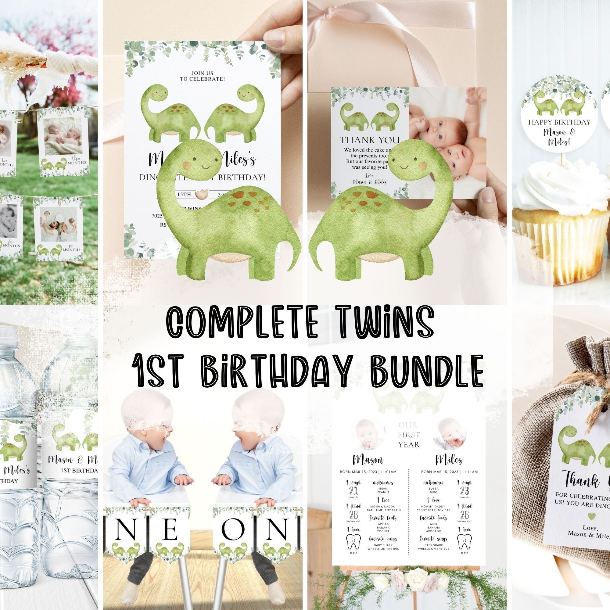 Twin Dinosaurs 1st Birthday Bundle