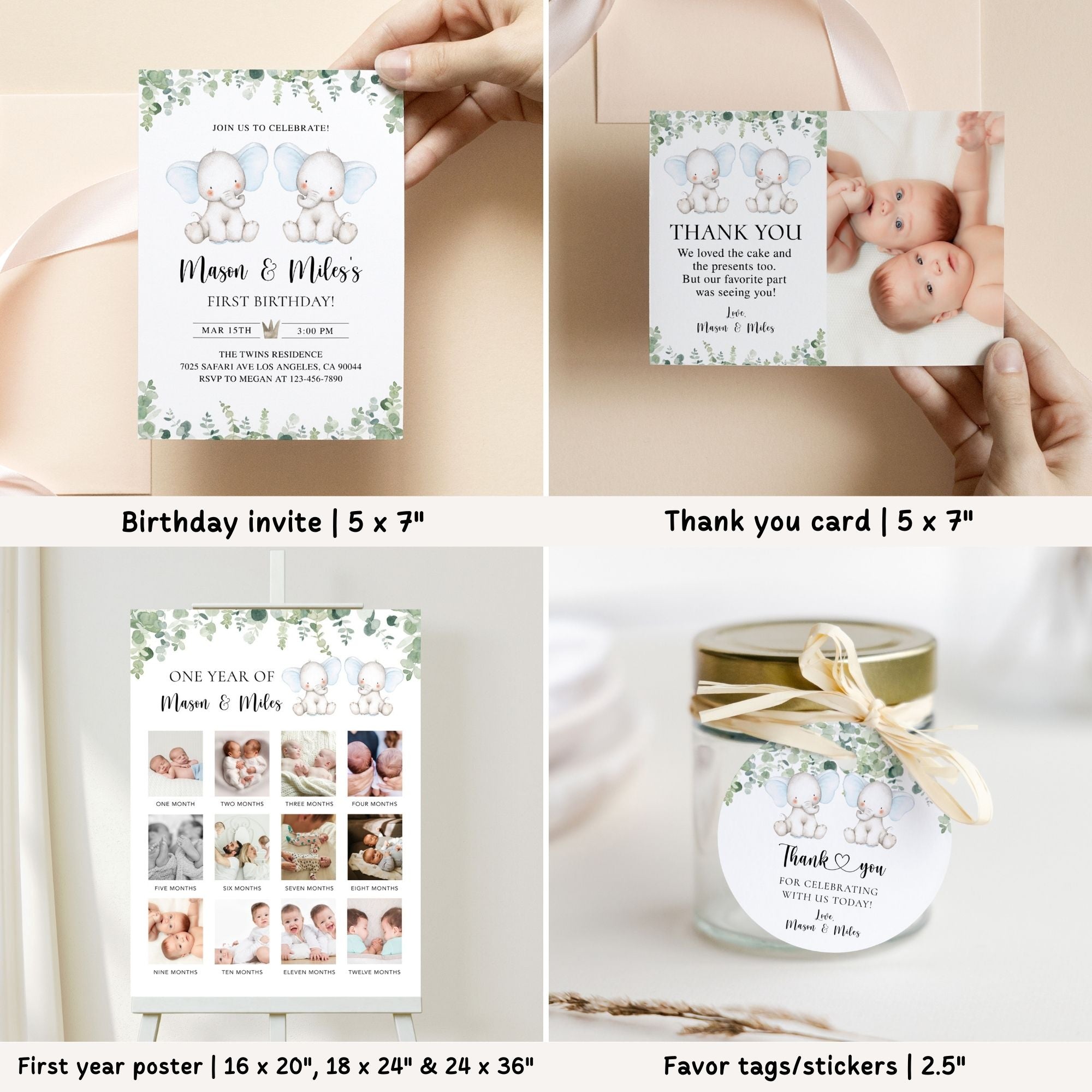 Twin Elephants 1st Birthday Bundle