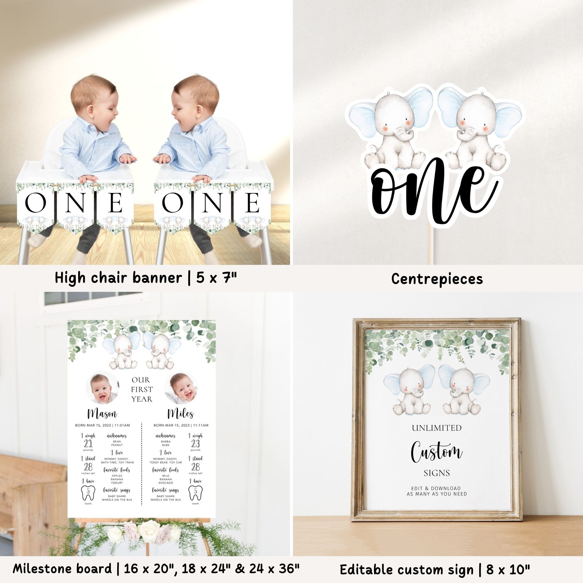 Twin Elephants 1st Birthday Bundle