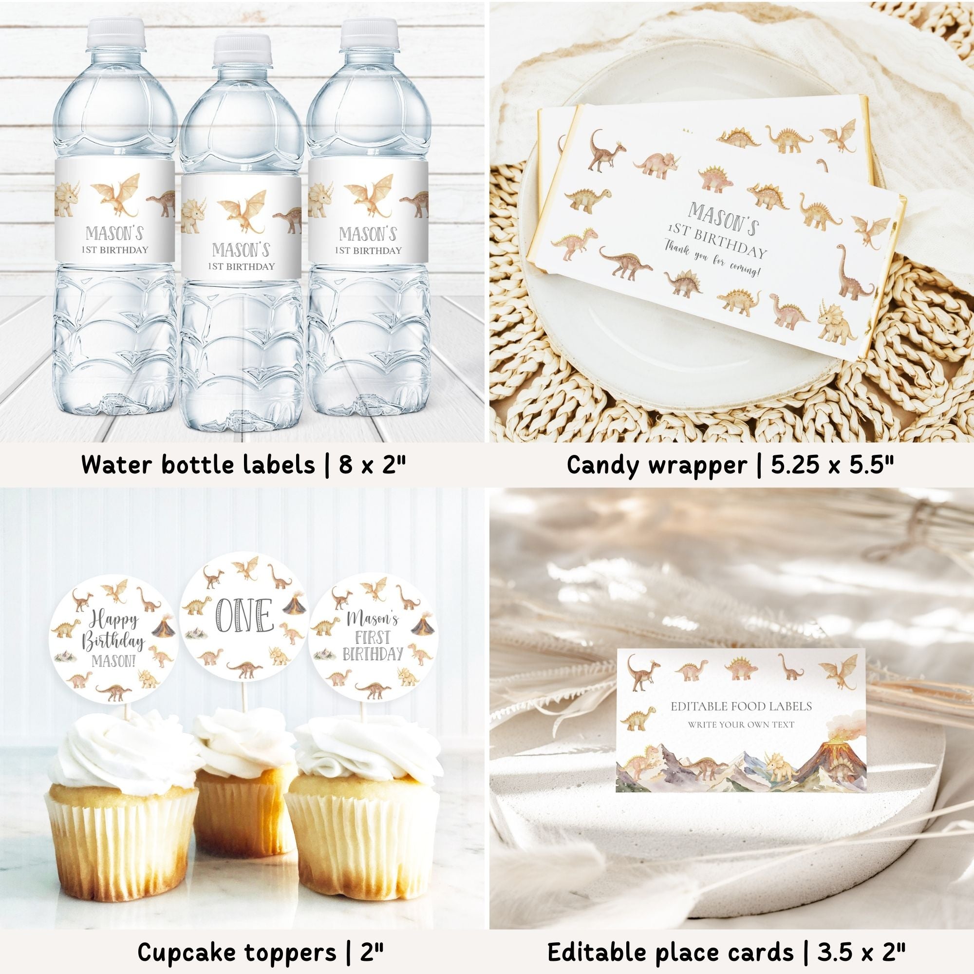 Prehistoric Dinosaur 1st Birthday Bundle