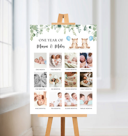 Twin Bears First Year Poster