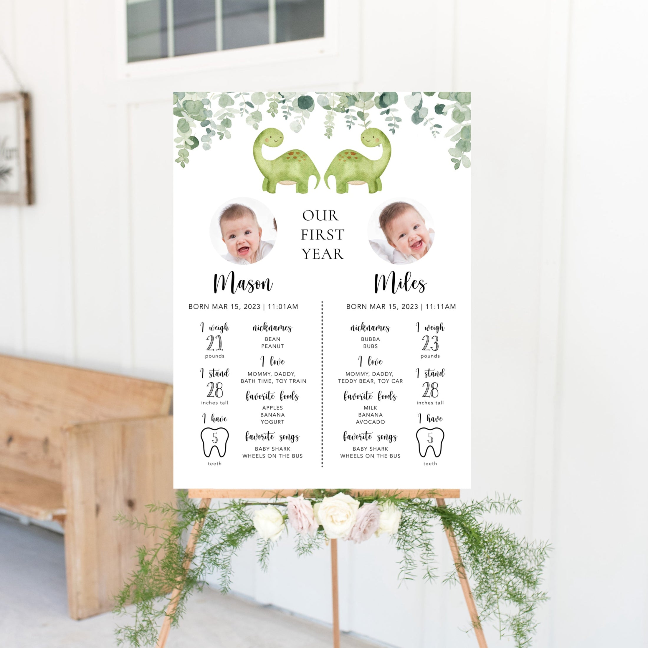 Twin Dinosaurs Baby Milestone Board