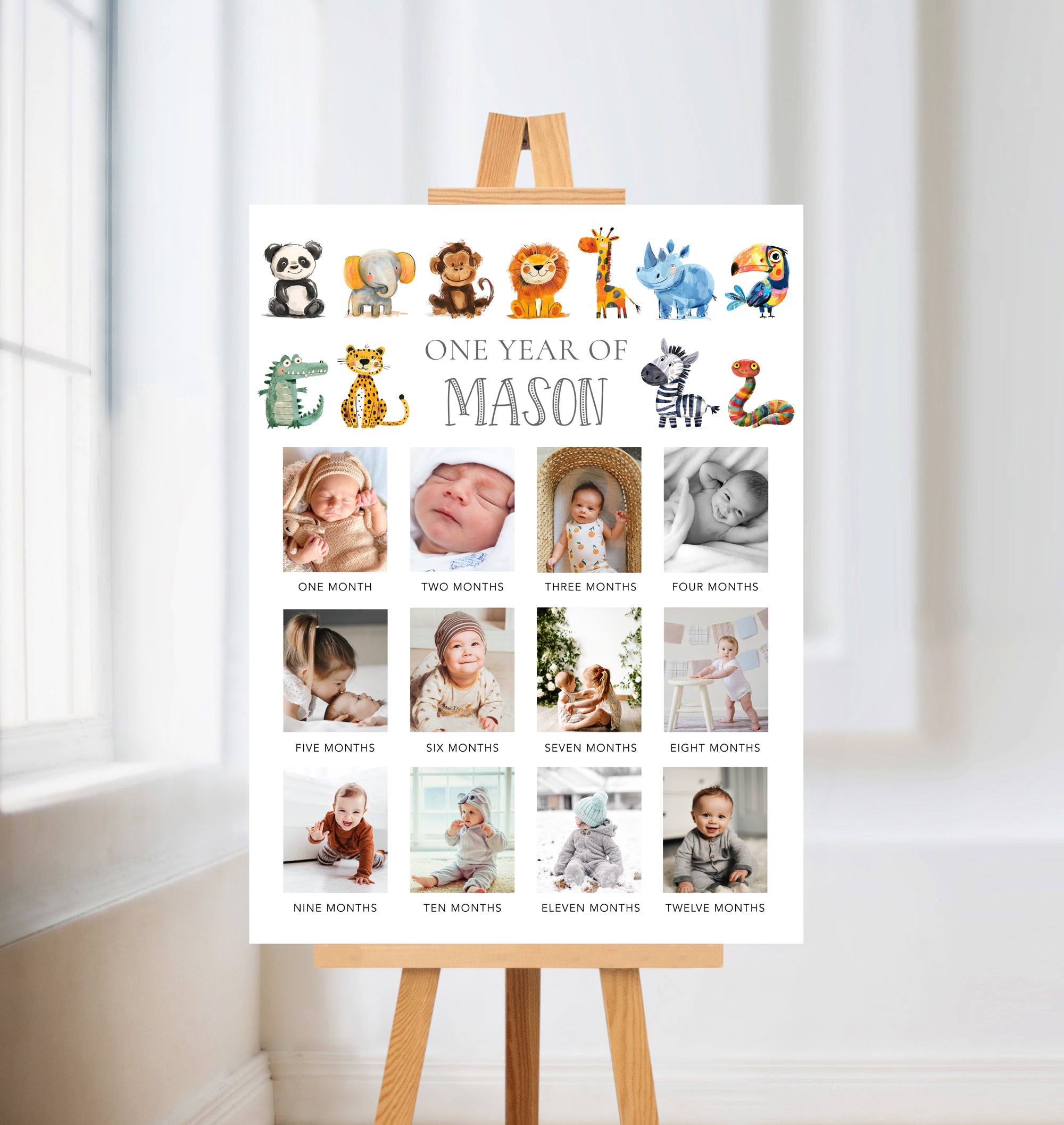 Colorful Animals First Year Poster