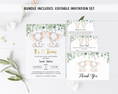 Load image into Gallery viewer, Complete Twin Elephants Baby Shower Bundle
