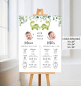 Load image into Gallery viewer, Twin Dinosaurs Baby Milestone Board
