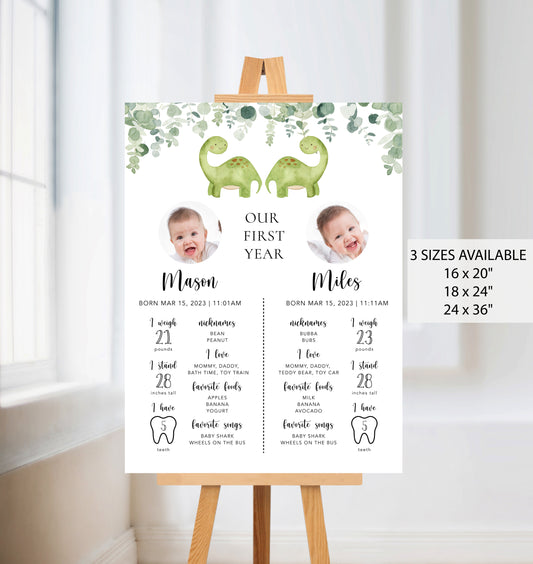 Twin Dinosaurs Baby Milestone Board