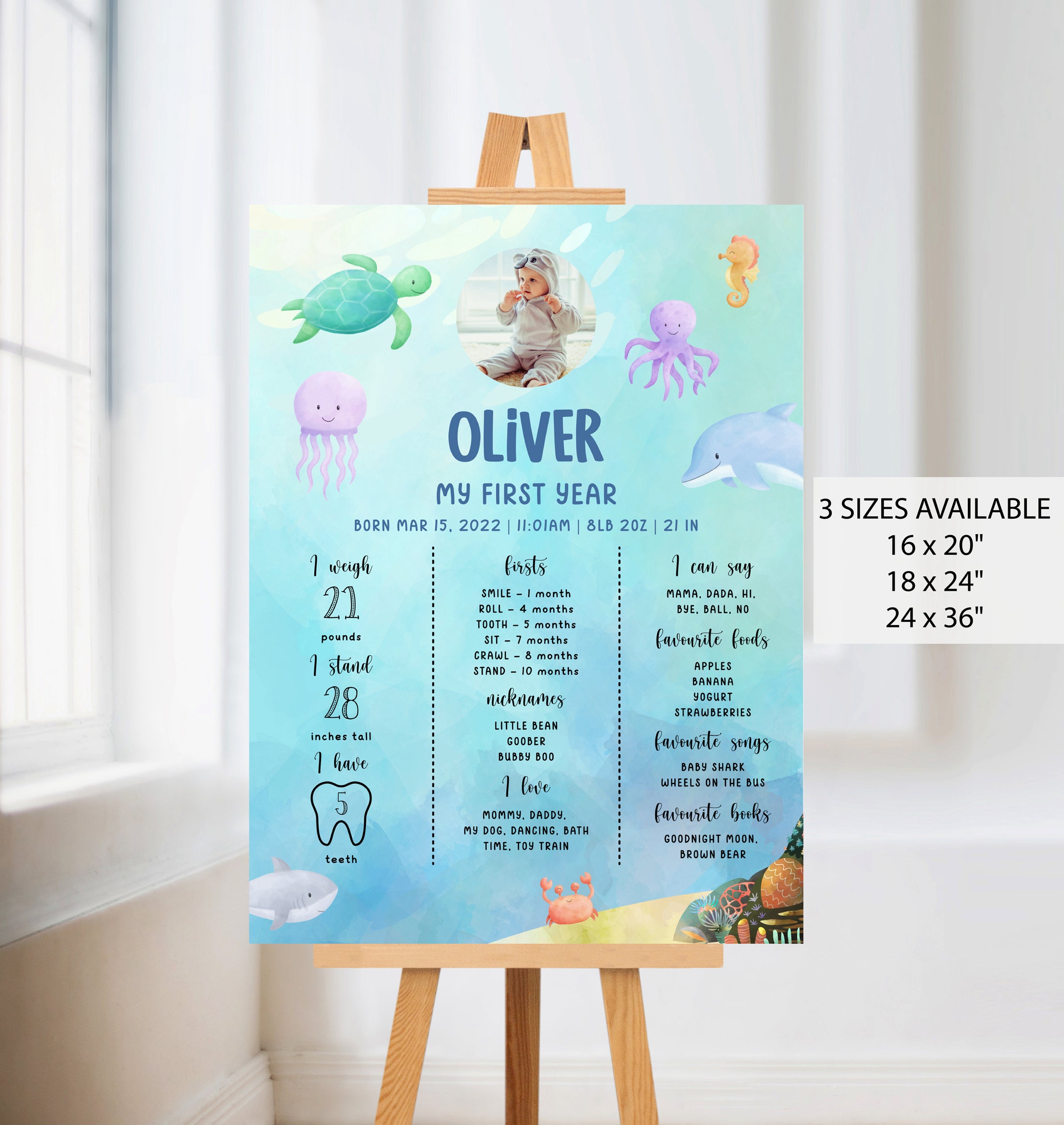 Under the Sea Baby Milestone Board