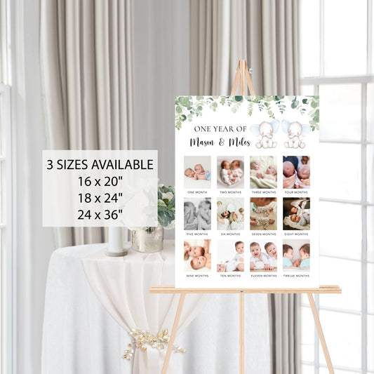 Twin Elephants First Year Poster