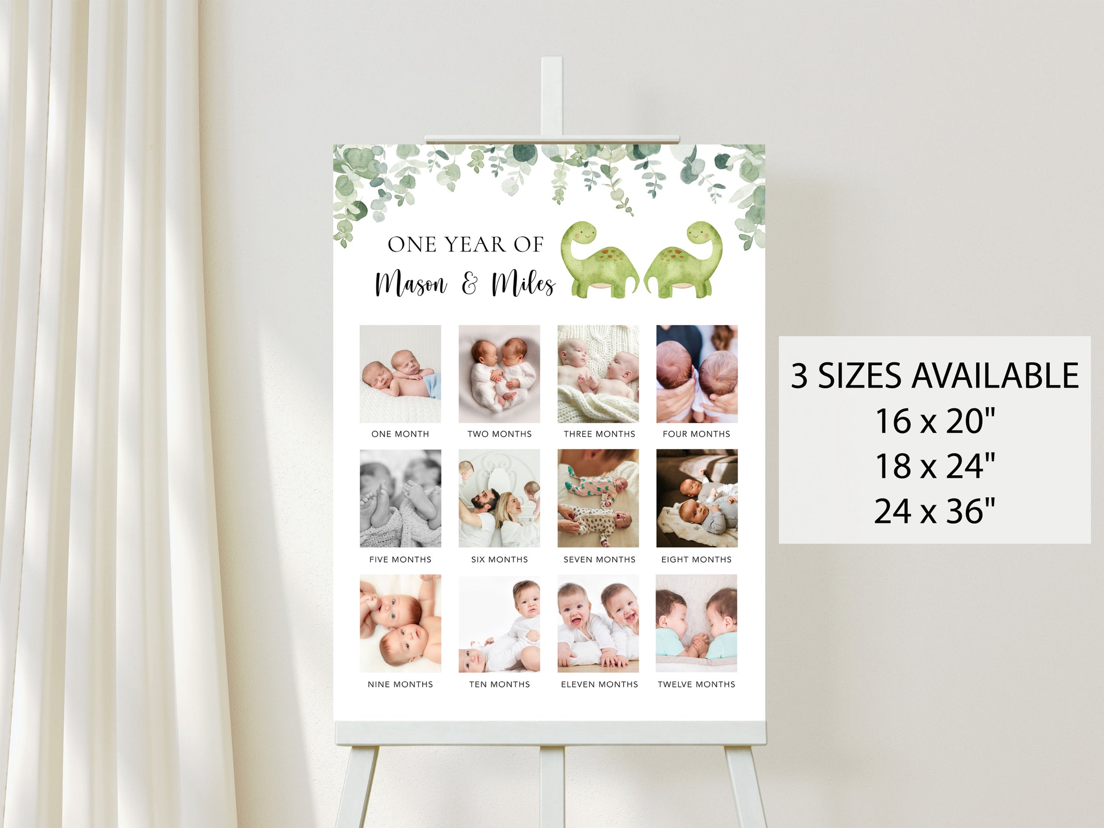 Twin Dinosaurs First Year Poster