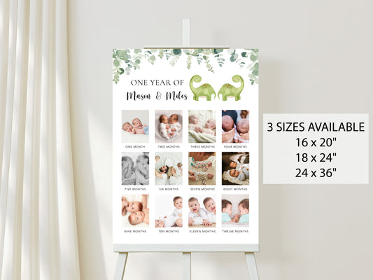 Twin Dinosaurs First Year Poster