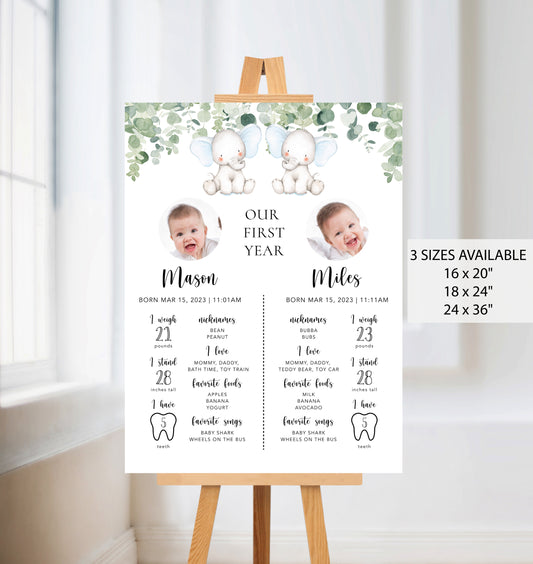 Twin Elephants Baby Milestone Board
