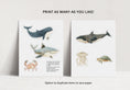 Load image into Gallery viewer, Sea Animals Centerpieces
