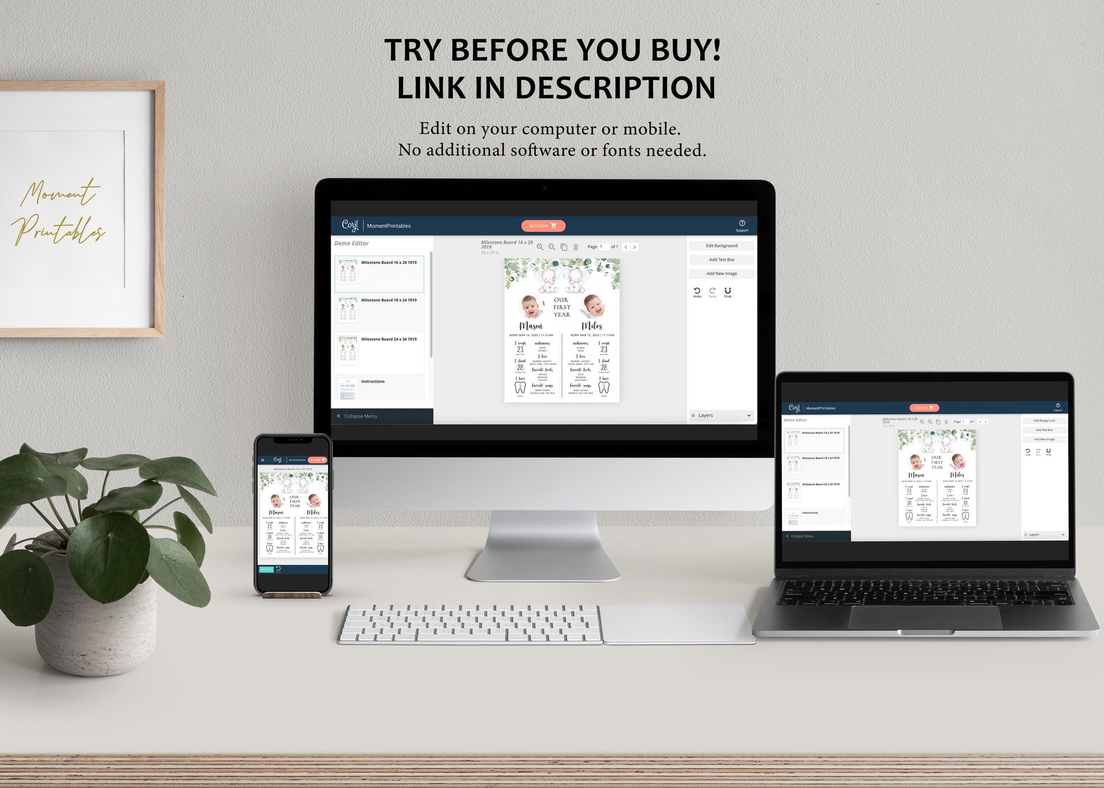 Twin Elephants Baby Milestone Board