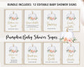 Load image into Gallery viewer, Complete Pumpkin Baby Shower Bundle
