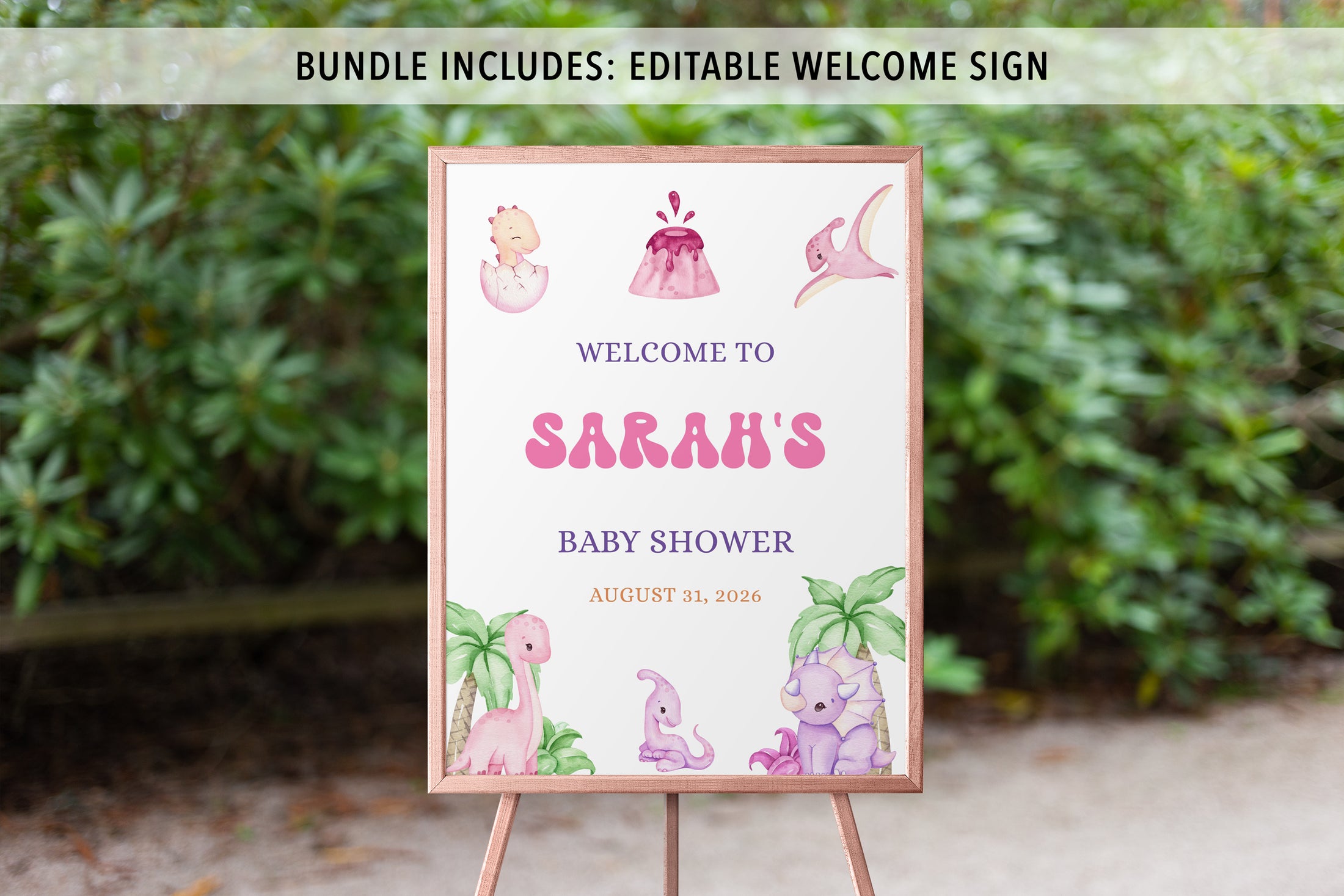 Complete Girl Dinosaur Baby Shower Bundle