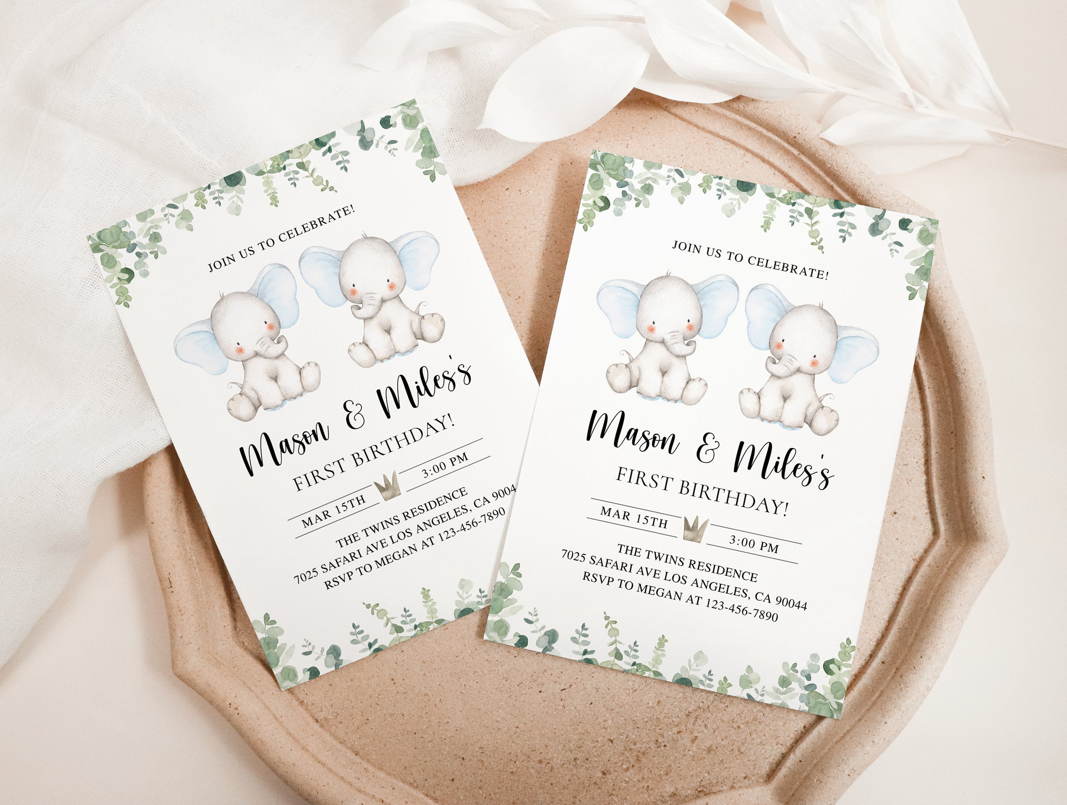 Twin Elephants 1st Birthday Bundle