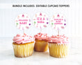 Load image into Gallery viewer, Complete Girl Dinosaur Baby Shower Bundle
