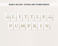 Load image into Gallery viewer, Complete Pumpkin Baby Shower Bundle
