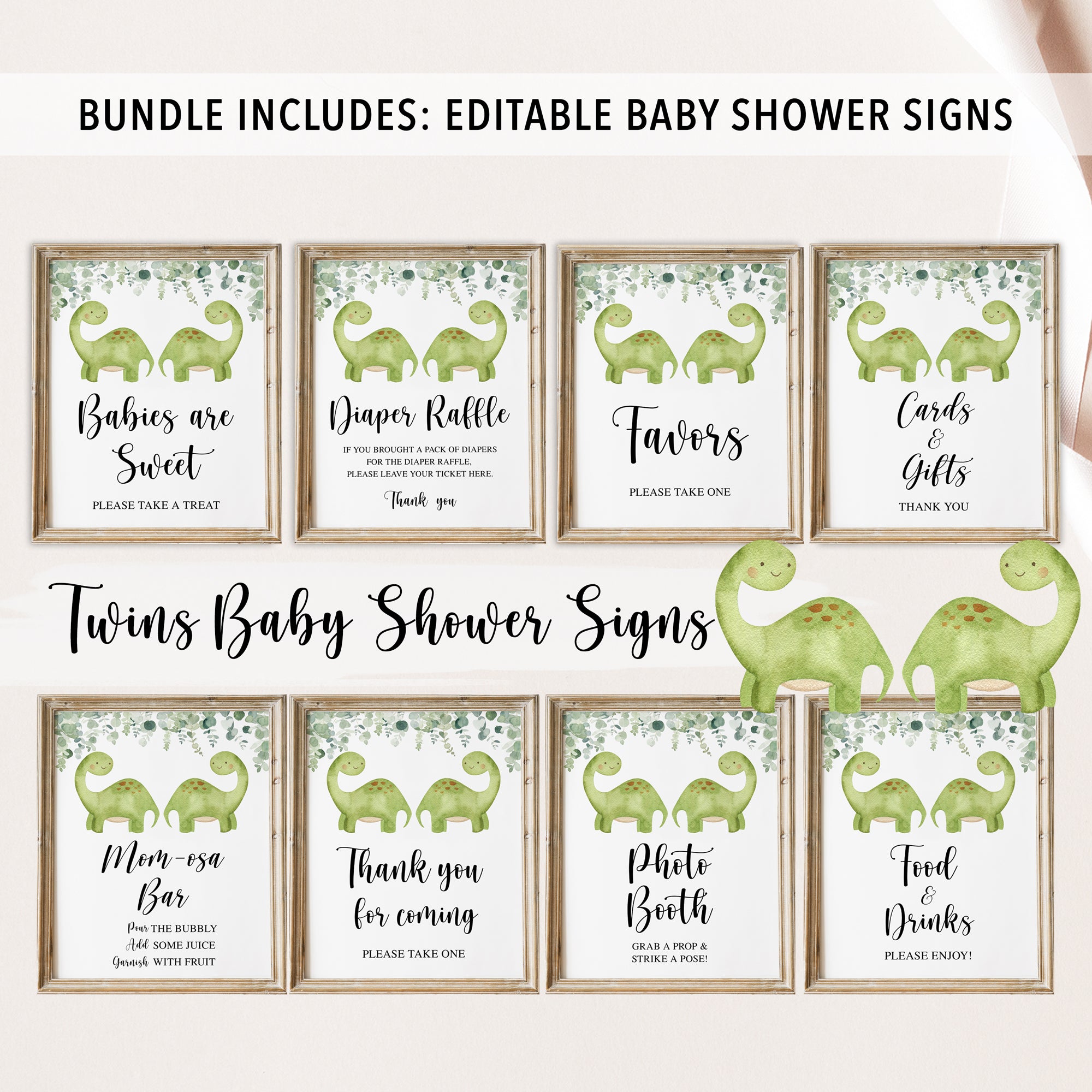 Complete Twin Dinosaurs Baby Shower Bundle