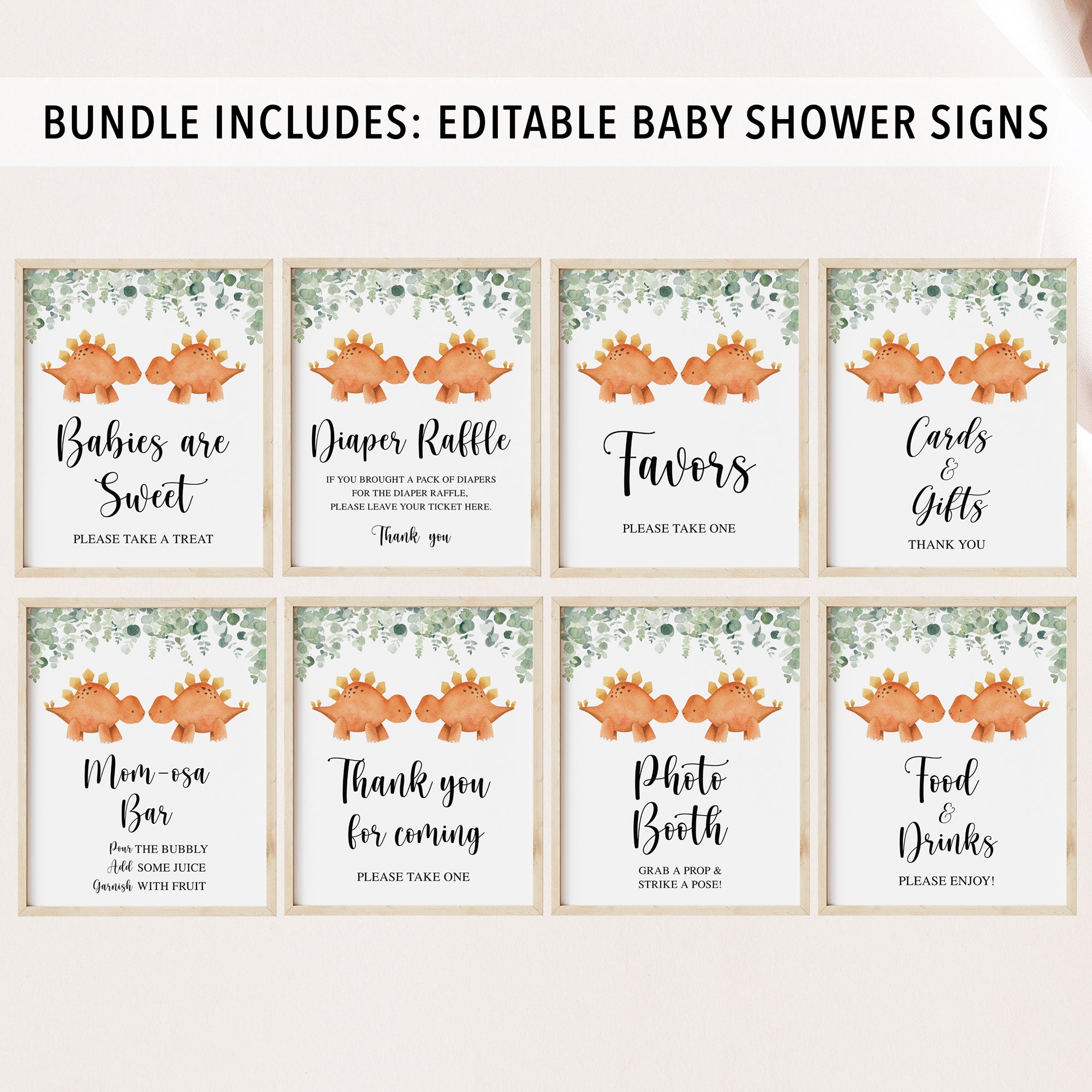 Complete Twin Triceratops Baby Shower Bundle