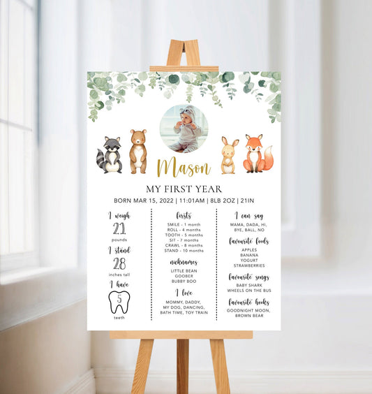 Woodland Baby Milestone Board