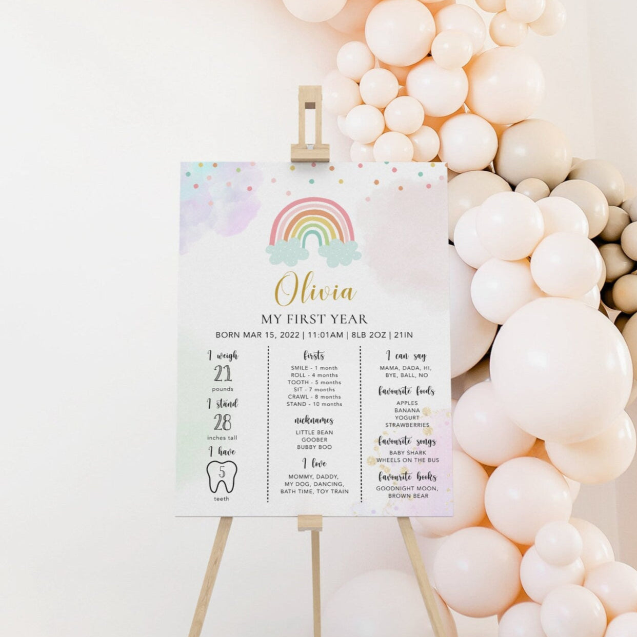 Rainbow Baby Milestone Board